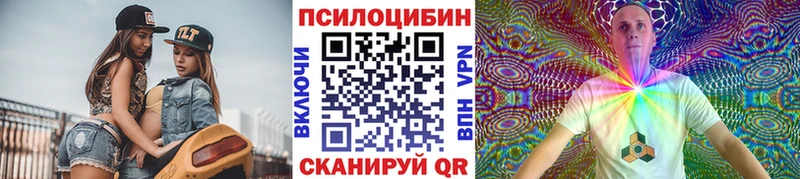 Галлюциногенные грибы Psilocybe  Павловский Посад 