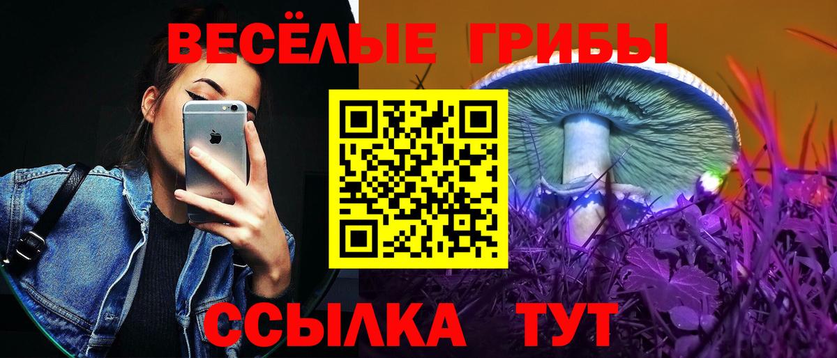 купить наркоту  Галлюциногенные грибы прущие грибы  Псилоцибиновые грибы GOLDEN TEACHER  Вход с VPN  Павловский Посад 