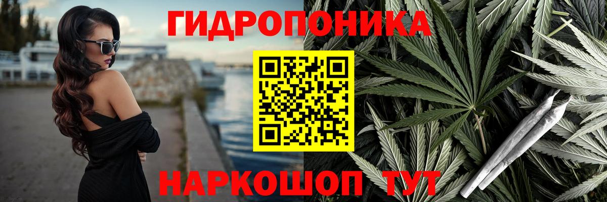 Шишки марихуана MAZAR Павловский Посад